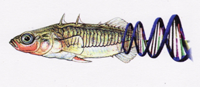 sticklehelix