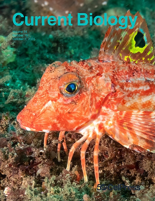 Sea robin Current Biology Cover